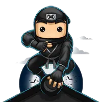 Ninja Support