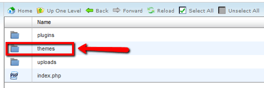 Langkah 3: double-click pada folder themes