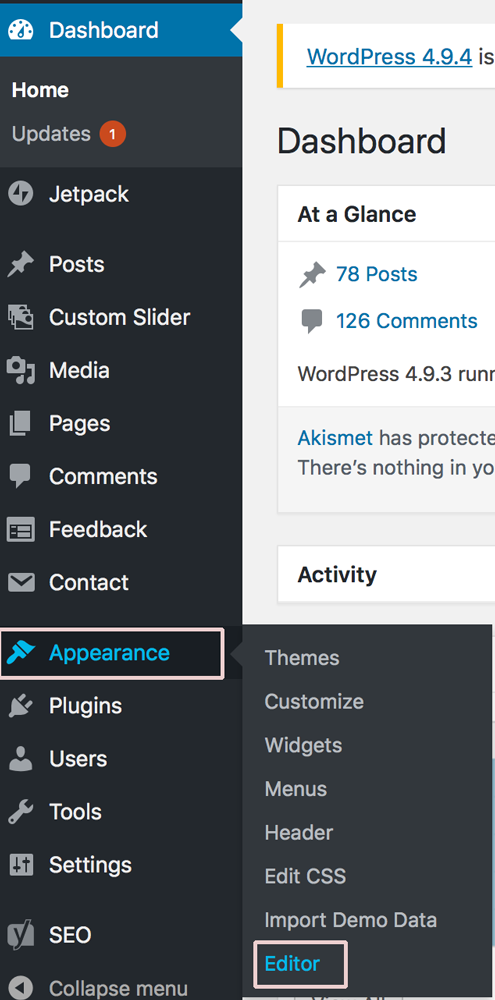 WordPress-Editor-Appearance