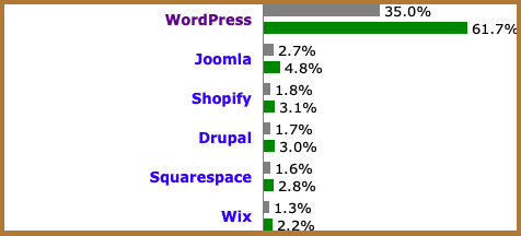 Cara Membuat Website dari Nol Sampai Jadi, Dijamin Mudah!