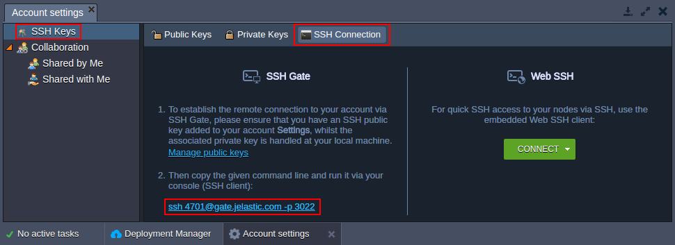 gate ssh
